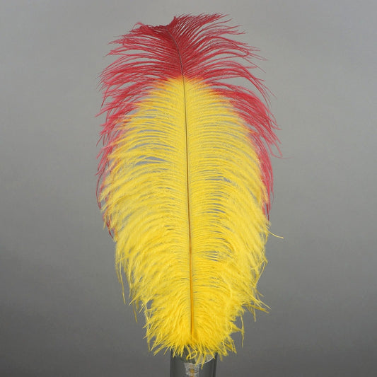 Ostrich Feathers Drabs Tipped Selected - Yellow/Red - Feathers