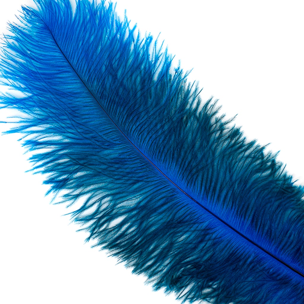 Ostrich Feathers-Floss - Dark Turquoise - Feathers