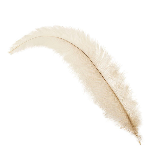 Ostrich Feathers-Floss - Natural Tonals - Feathers