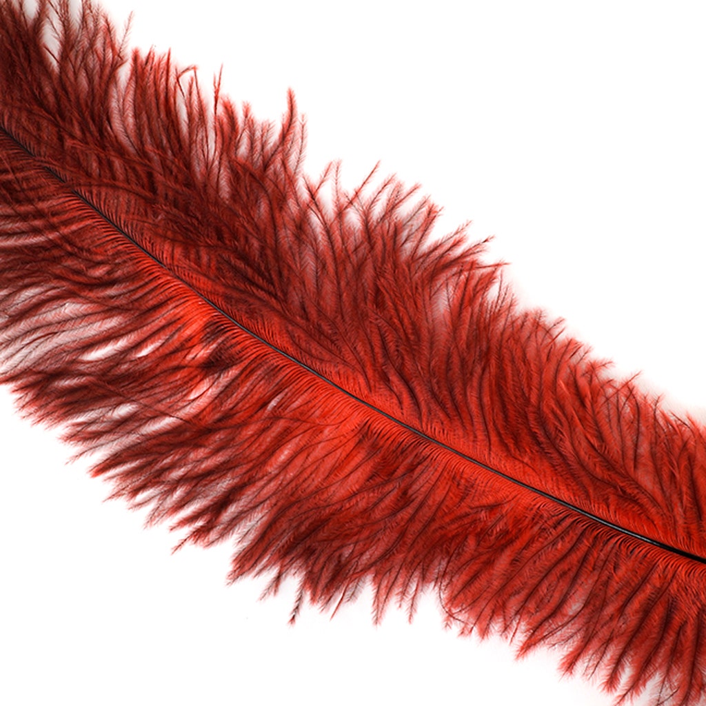 Ostrich Feathers-Floss - Red - Feathers