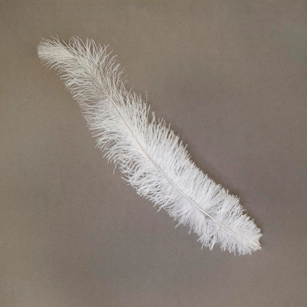 Ostrich Feathers-Floss - White - Feathers