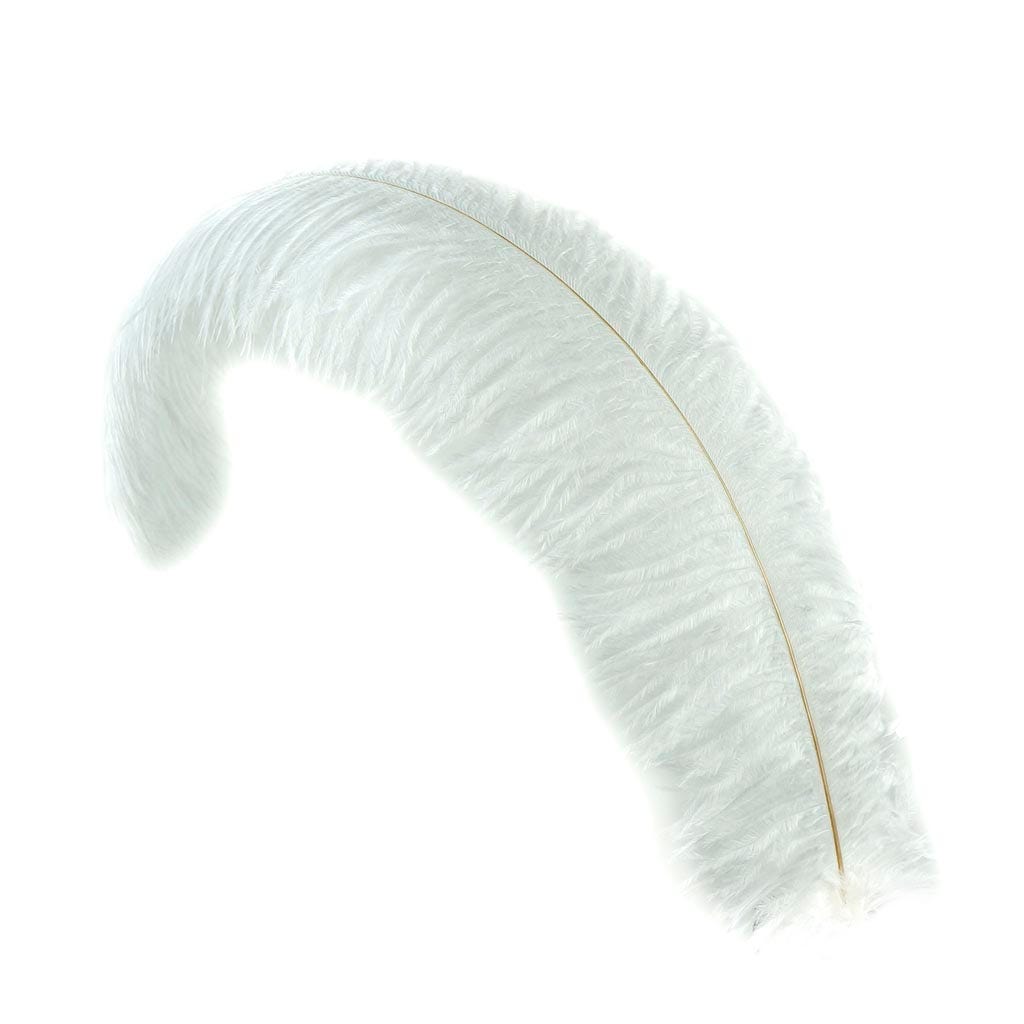 Ostrich Feathers-Floss - White - Feathers