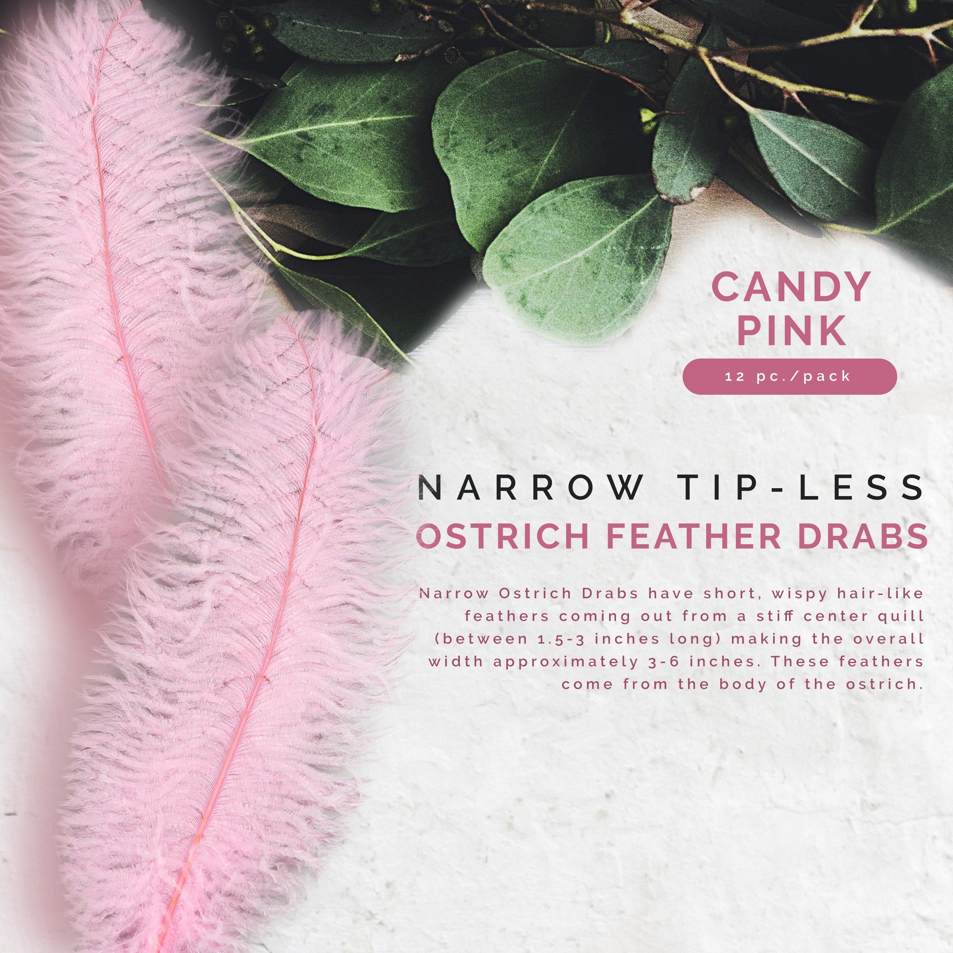 Ostrich Feathers-Narrow Drabs - Candy Pink - Feathers