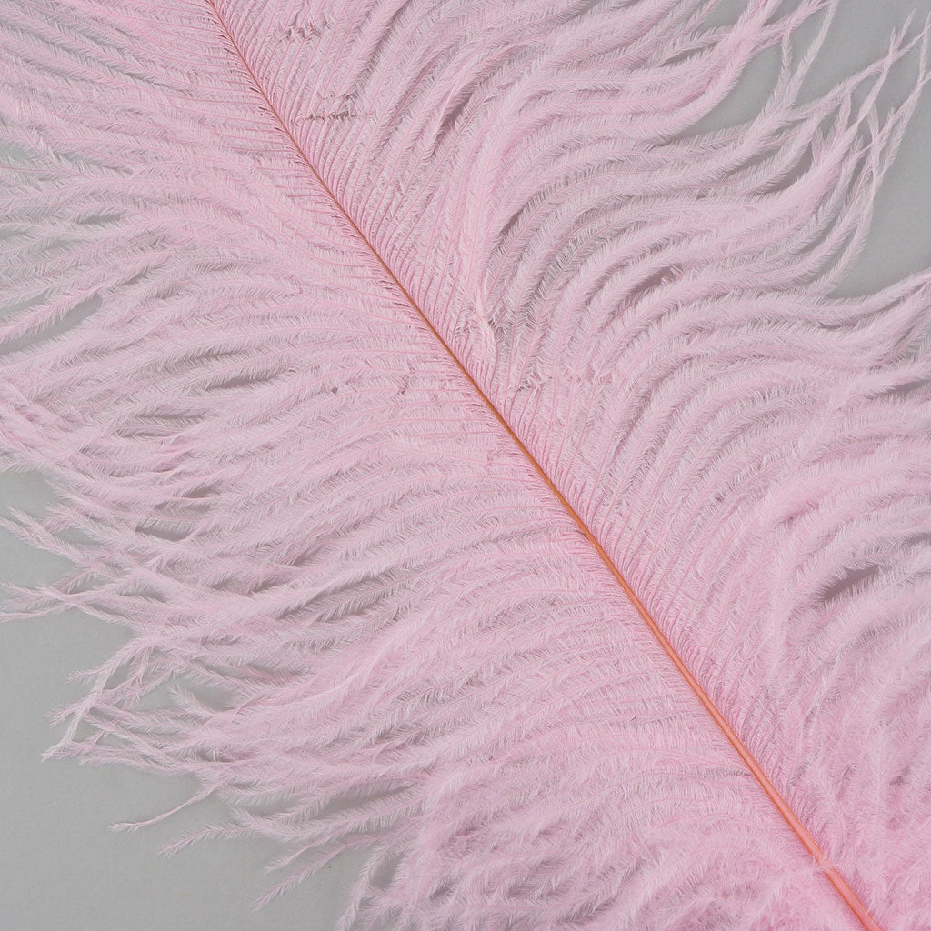 Ostrich Feathers-Narrow Drabs - Candy Pink - Feathers