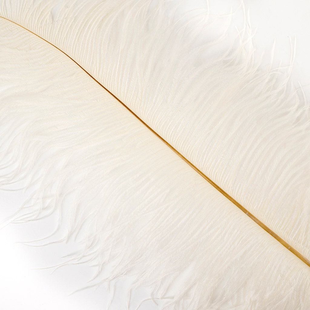 Ostrich Feathers-Narrow Drabs - Ivory - Feathers