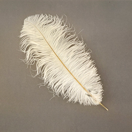 Ostrich Feathers-Narrow Drabs - Ivory - Feathers