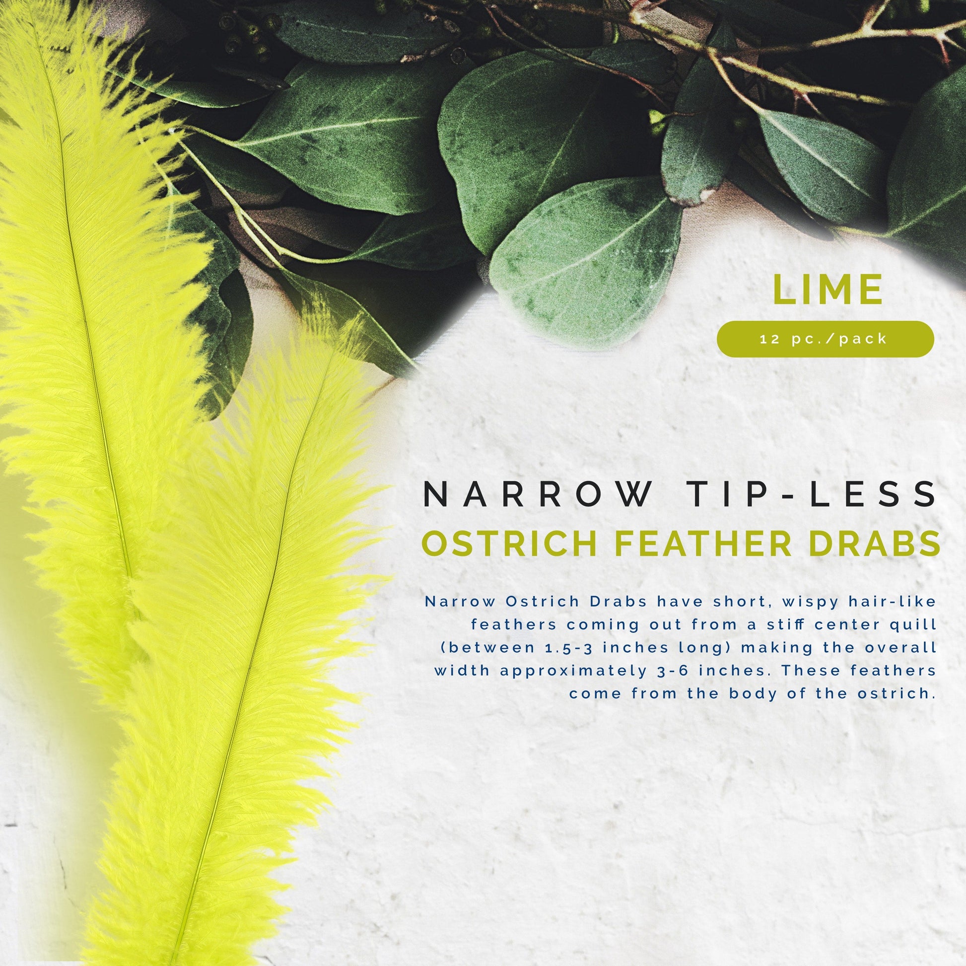 Ostrich Feathers-Narrow Drabs - Lime - Feathers