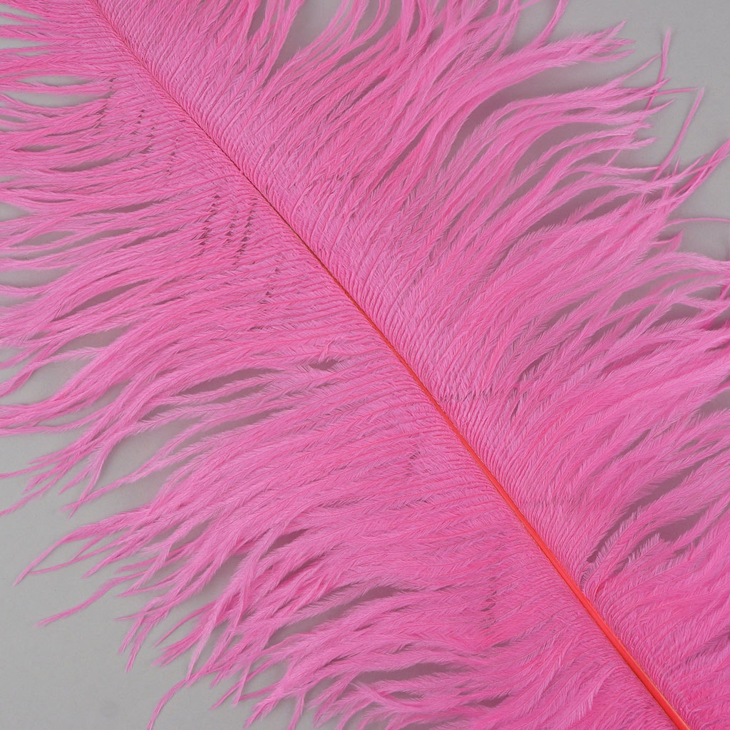 Ostrich Feathers-Narrow Drabs - Pink Orient - Feathers