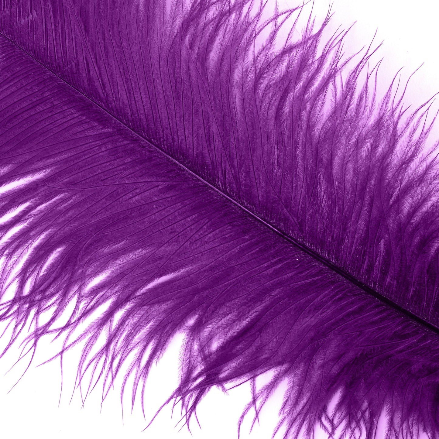 Ostrich Feathers-Narrow Drabs - Purple - Feathers