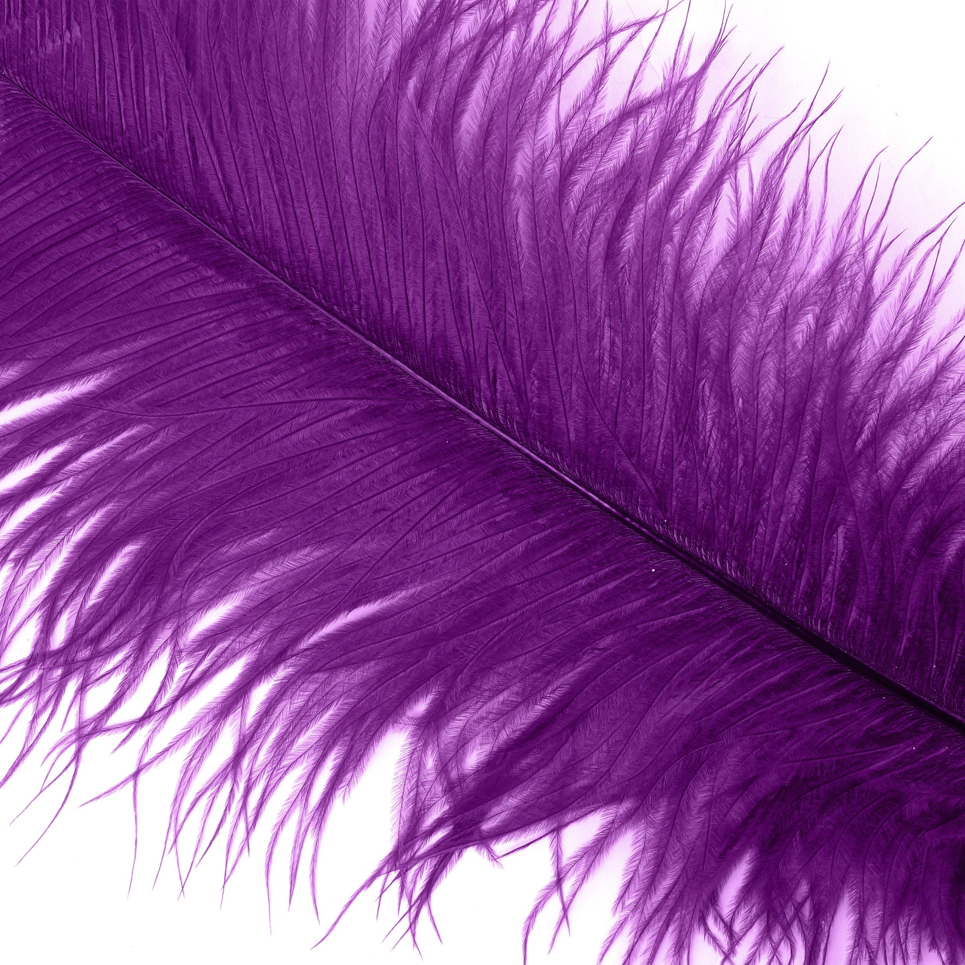 Ostrich Feathers-Narrow Drabs - Purple - Feathers