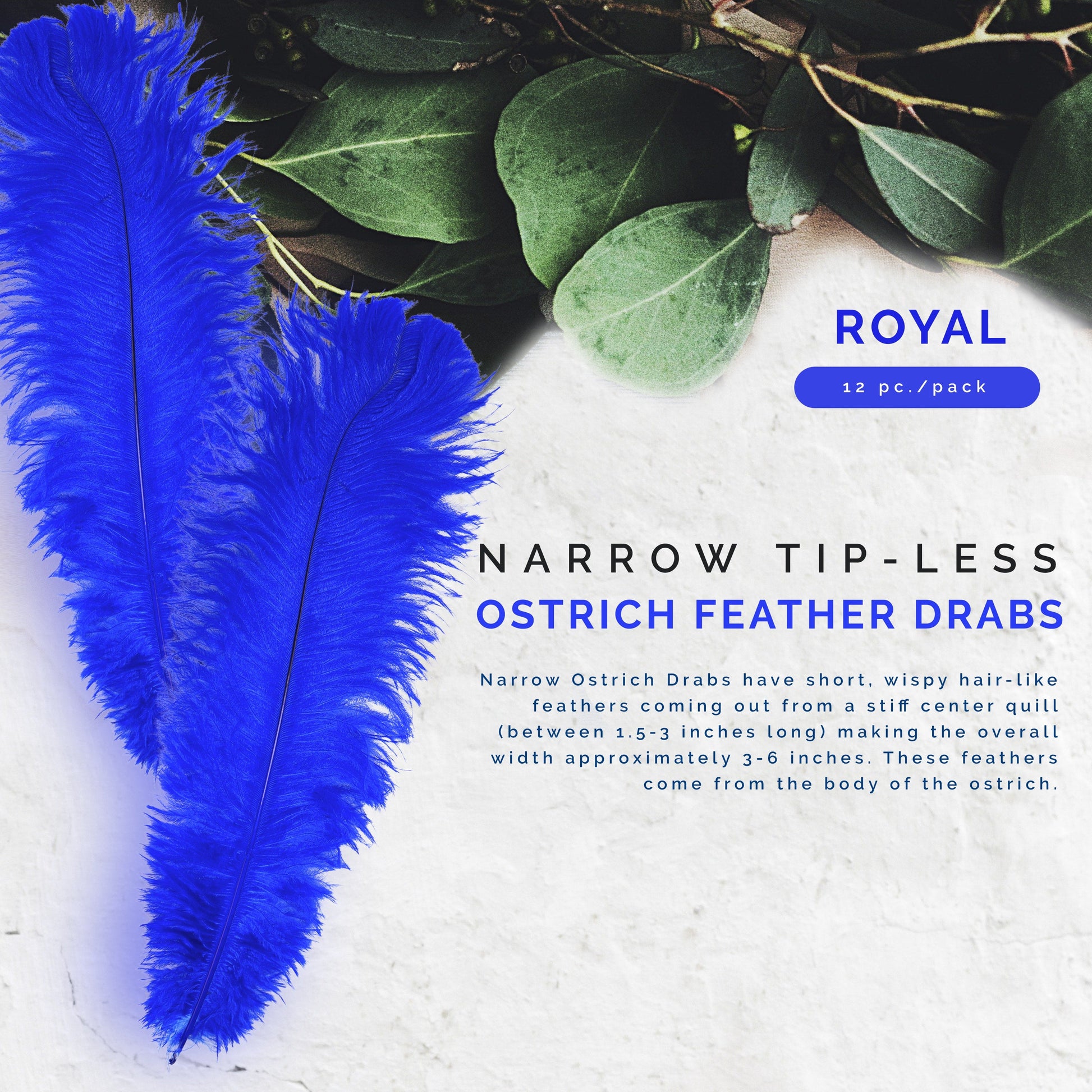 Ostrich Feathers-Narrow Drabs - Royal - Feathers