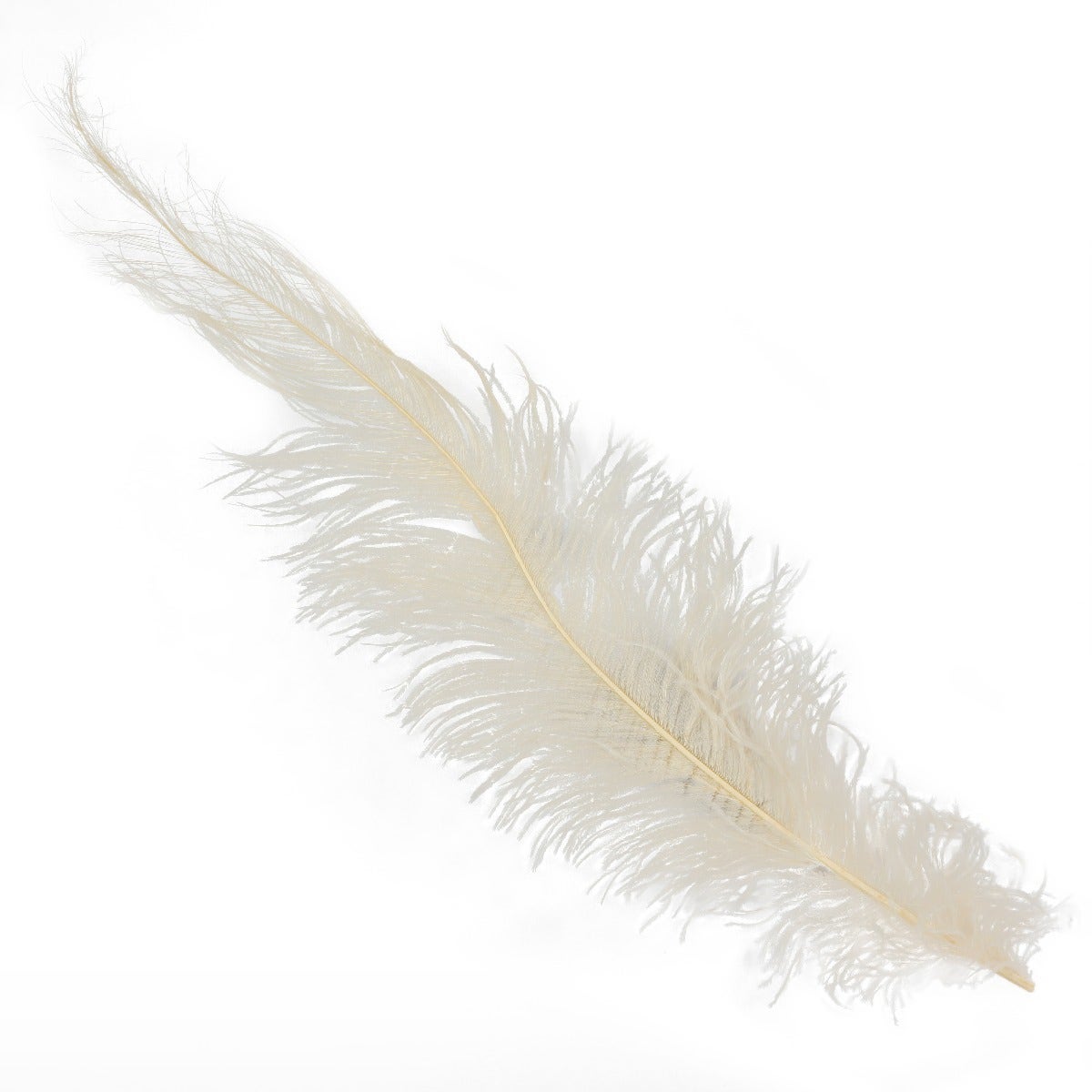 Ostrich Feathers-Spads Damaged - Beige - Feathers