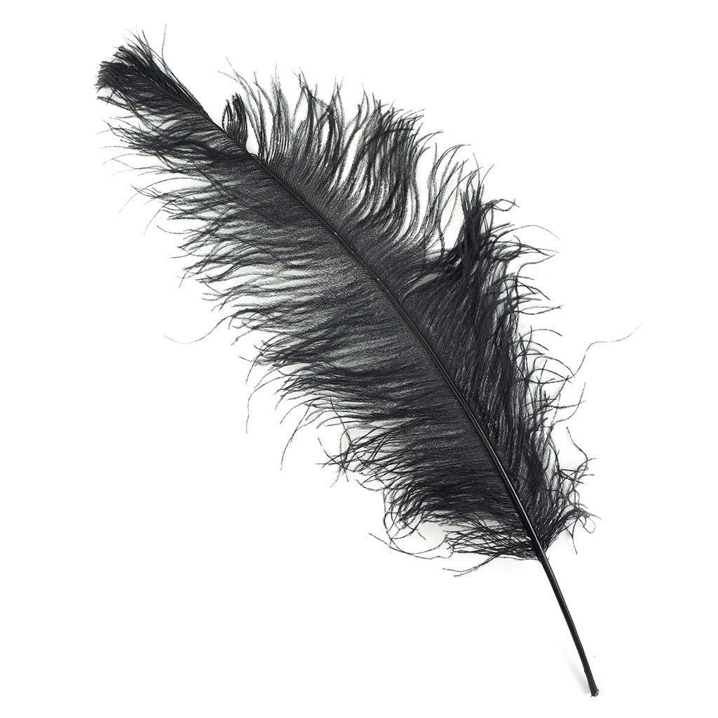 Ostrich Feathers-Spads Damaged - Black - Feathers