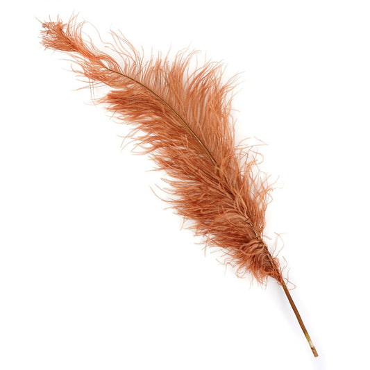 Ostrich Feathers-Spads Damaged - Cinnamon - Feathers