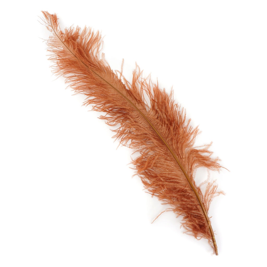 Ostrich Feathers-Spads Damaged - Cinnamon - Feathers