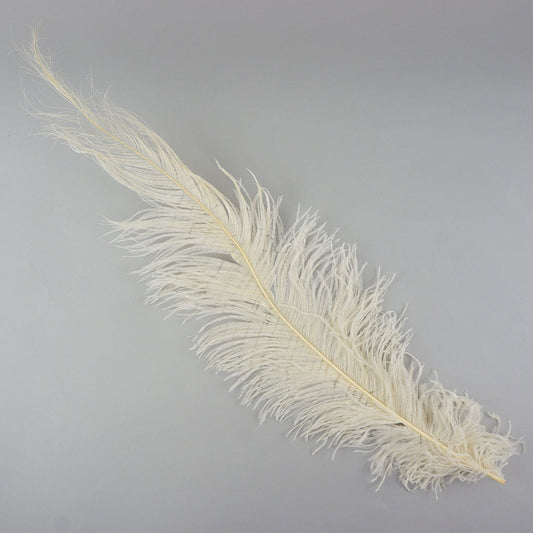 Ostrich Feathers-Spads Damaged - Ivory - Feathers