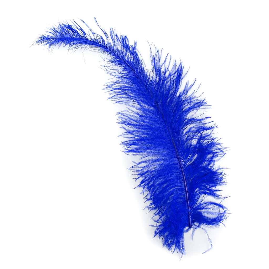 Ostrich Feathers-Spads Damaged - Royal - Feathers