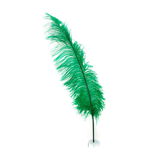 Ostrich Feathers-Spads Selected - Emerald - Feathers