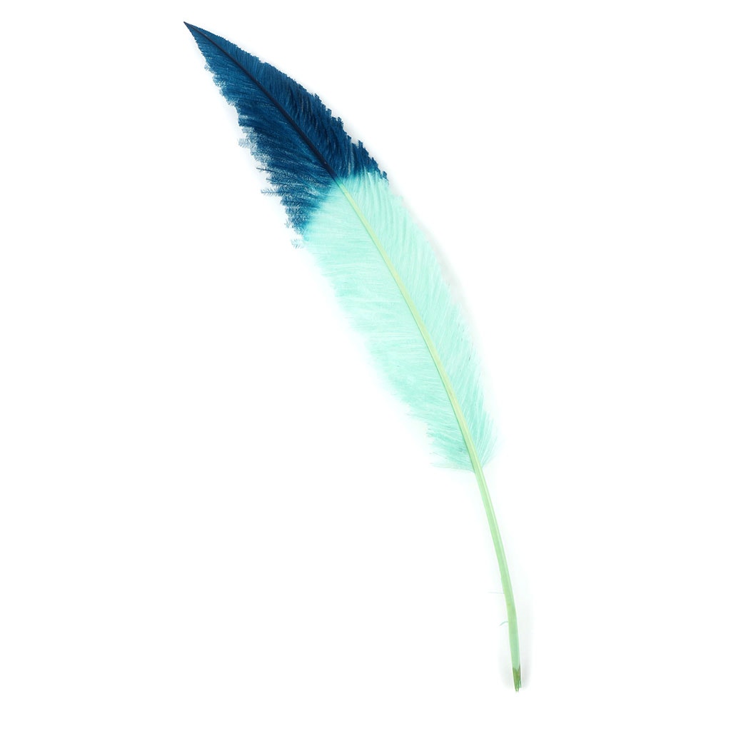 Ostrich Nandu Tipped Feathers Selected - Mint - Peacock Blue - Feathers