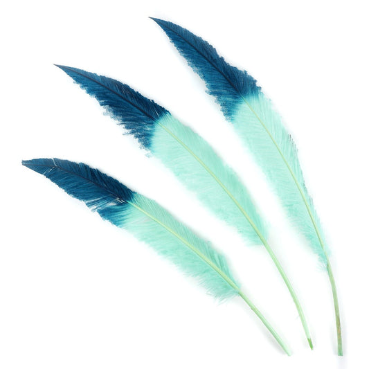 Ostrich Nandu Tipped Feathers Selected - Mint - Peacock Blue - Feathers