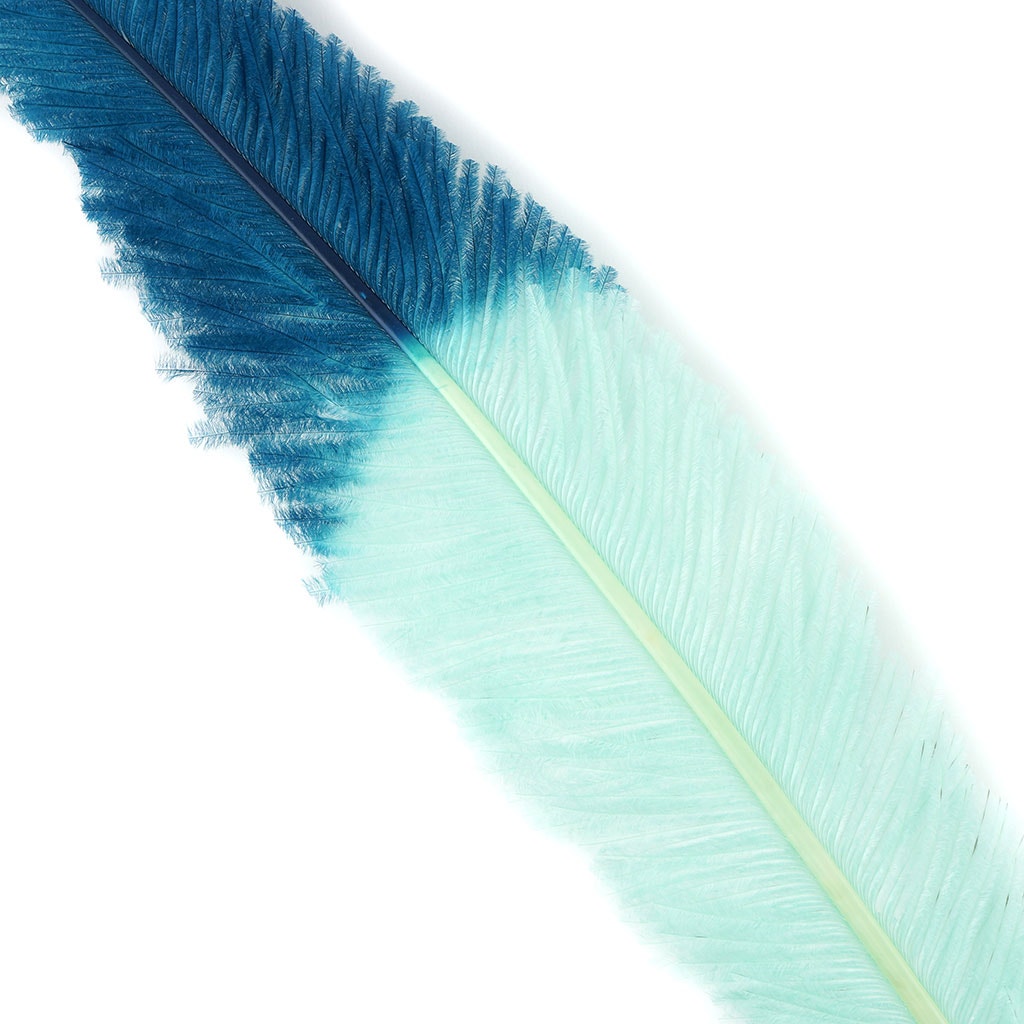 Ostrich Nandu Tipped Feathers Selected - Mint - Peacock Blue - Feathers