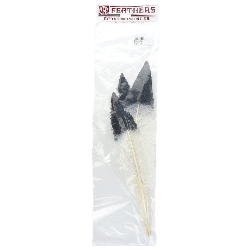 Ostrich Nandu Tipped Feathers Selected - White - Black - Feathers