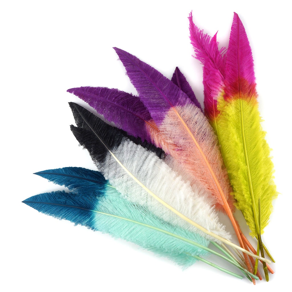 Ostrich Nandu Tipped Feathers Selected - White - Black - Feathers