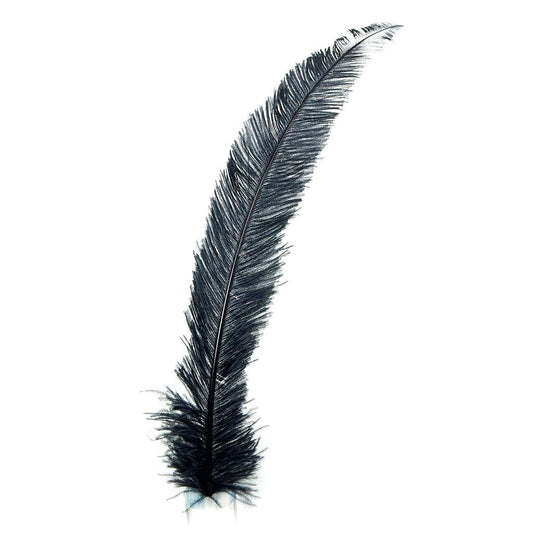 Ostrich Spad Feathers Trimmed w/Natural Markings Black - Feathers