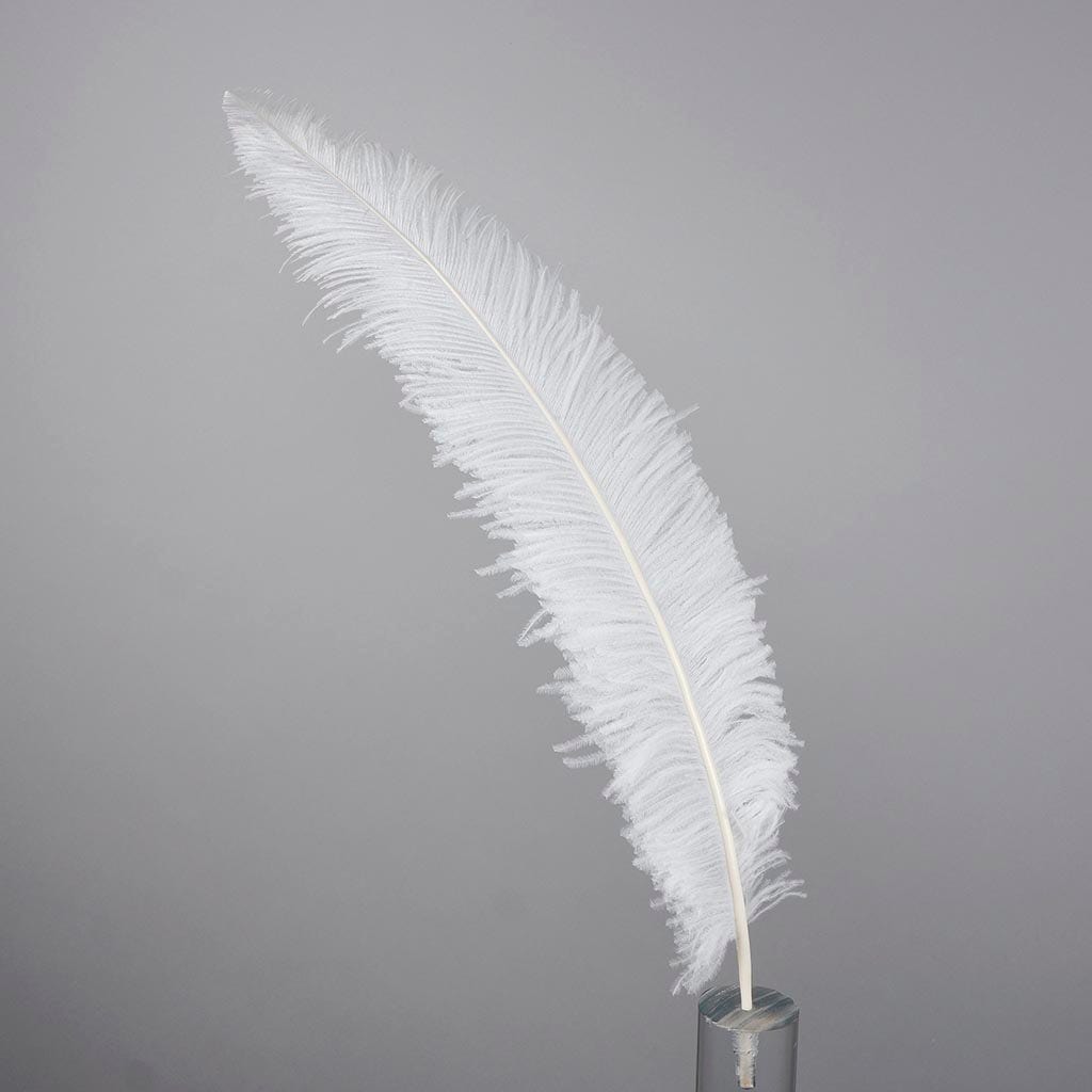 Ostrich Spad Feathers Trimmed w/Natural Markings White - Feathers