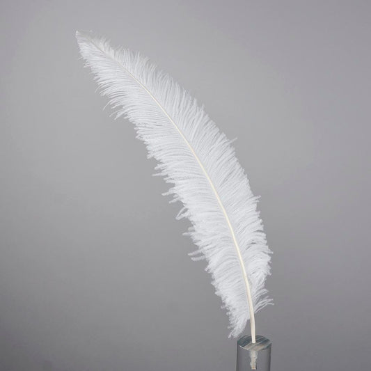 Ostrich Spad Feathers Trimmed w/Natural Markings White - Feathers