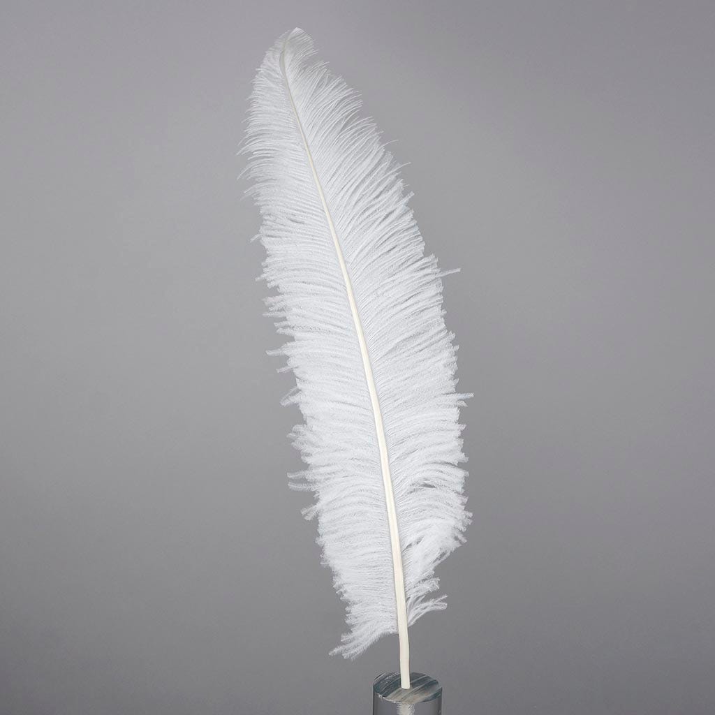 Ostrich Spad Feathers Trimmed w/Natural Markings White - Feathers