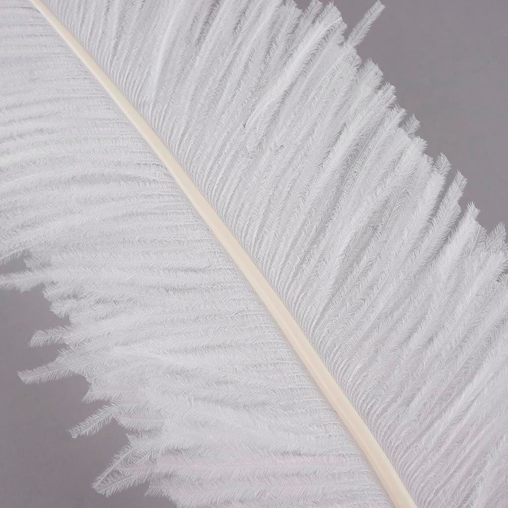 Ostrich Spad Feathers Trimmed w/Natural Markings White - Feathers