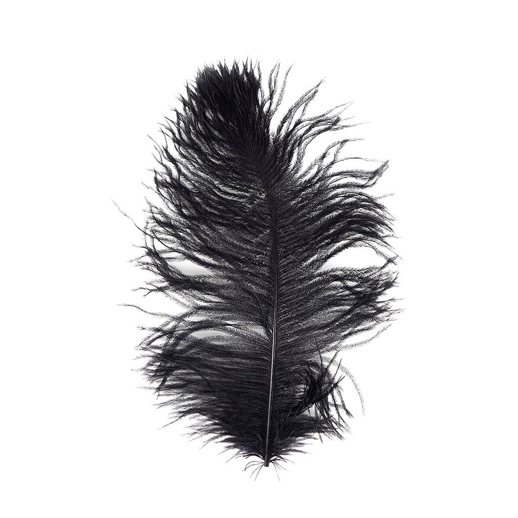 Ostrich Tail Feathers - Cut Tops - 5-11 inch - 12 pcs - Black - Feathers