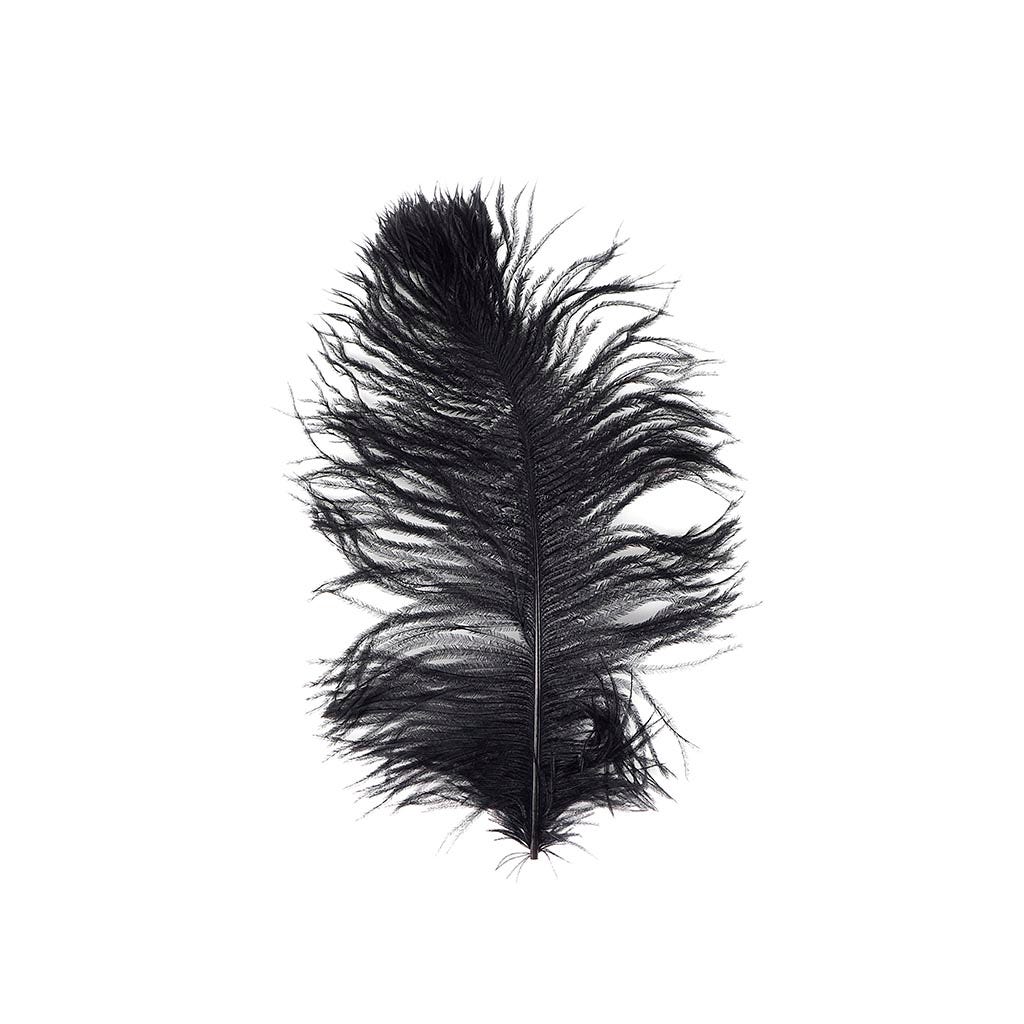 Ostrich Tail Feathers - Cut Tops - 5-11 inch - 12 pcs - Black - Feathers