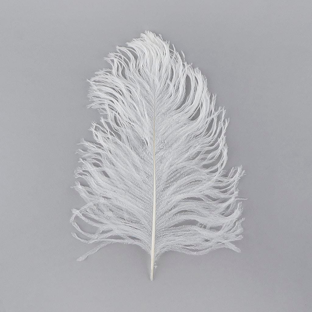 Ostrich Tail Feathers - Cut Tops 5-11 inch - 12 pcs - White - Feathers