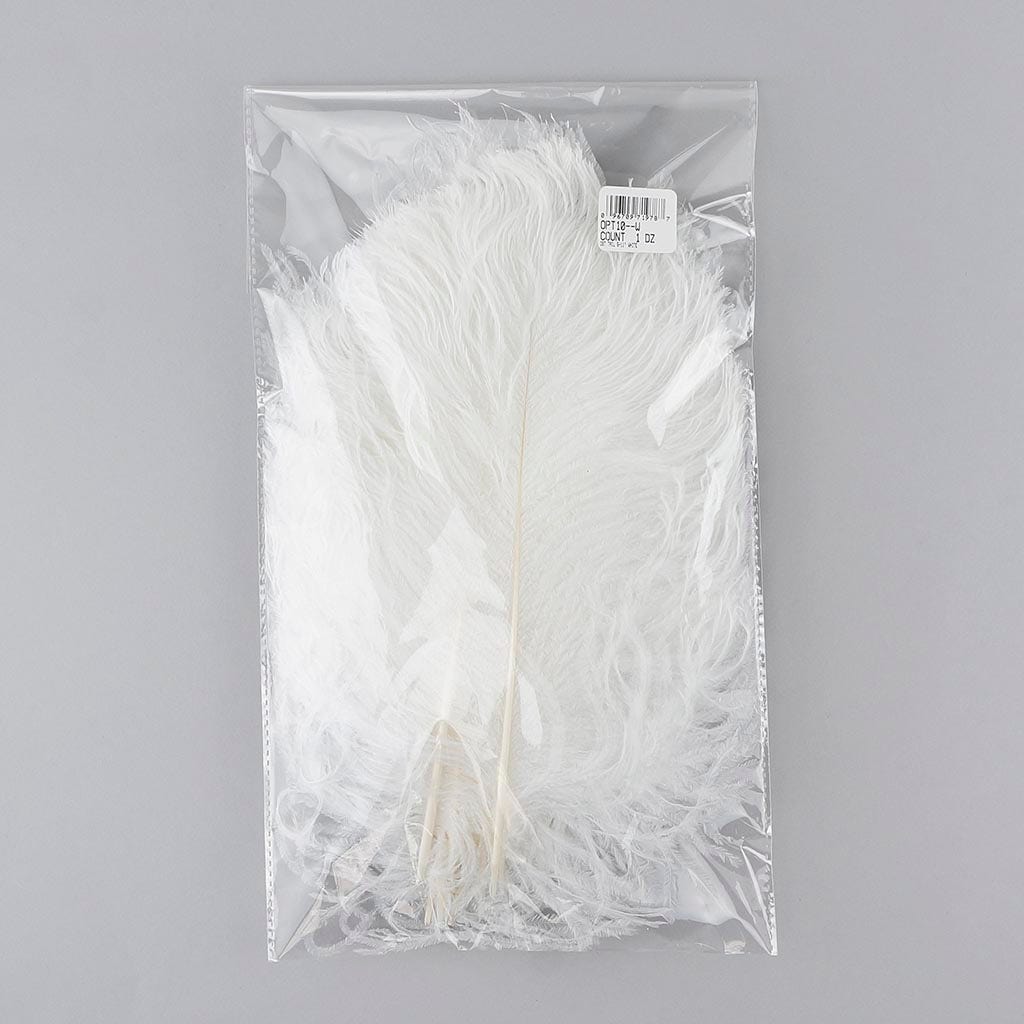 Ostrich Tail Feathers - Cut Tops 5-11 inch - 12 pcs - White - Feathers