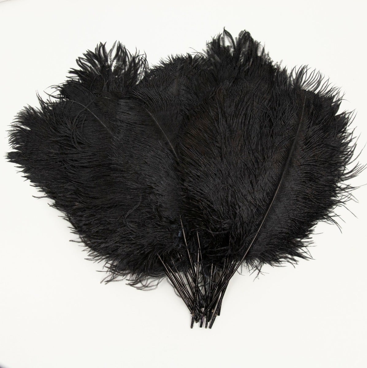 Ostrich Tails 16-18 inch - 30 PC - Black - Feathers