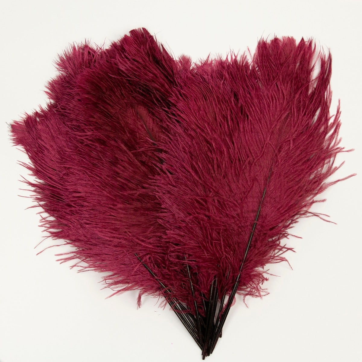 Ostrich Tails 16-18 inch - 30 PC - Burgundy - Feathers