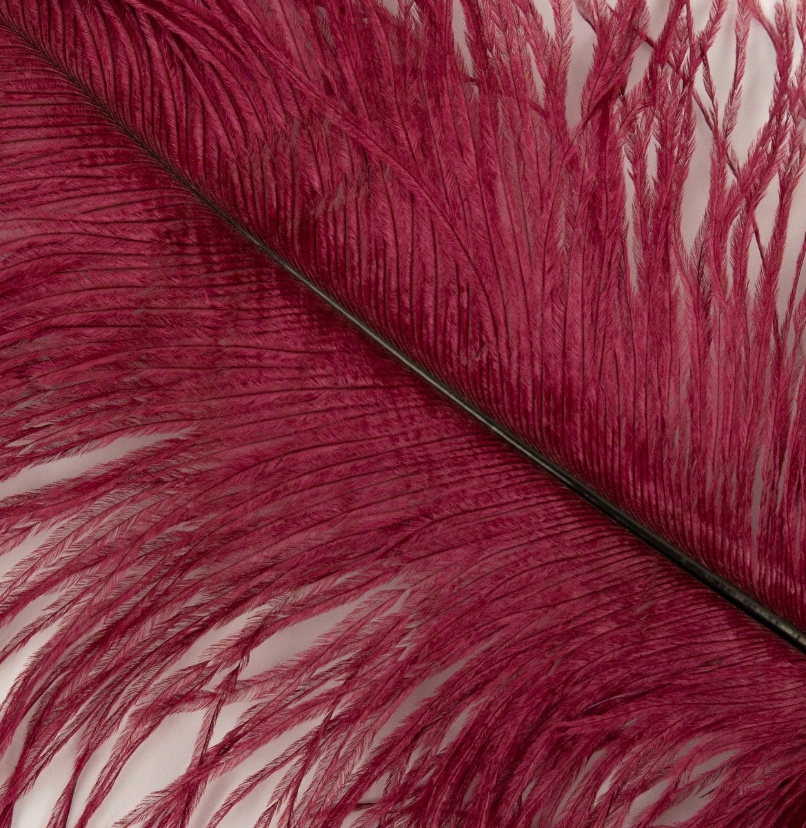 Ostrich Tails 16-18 inch - 30 PC - Burgundy - Feathers