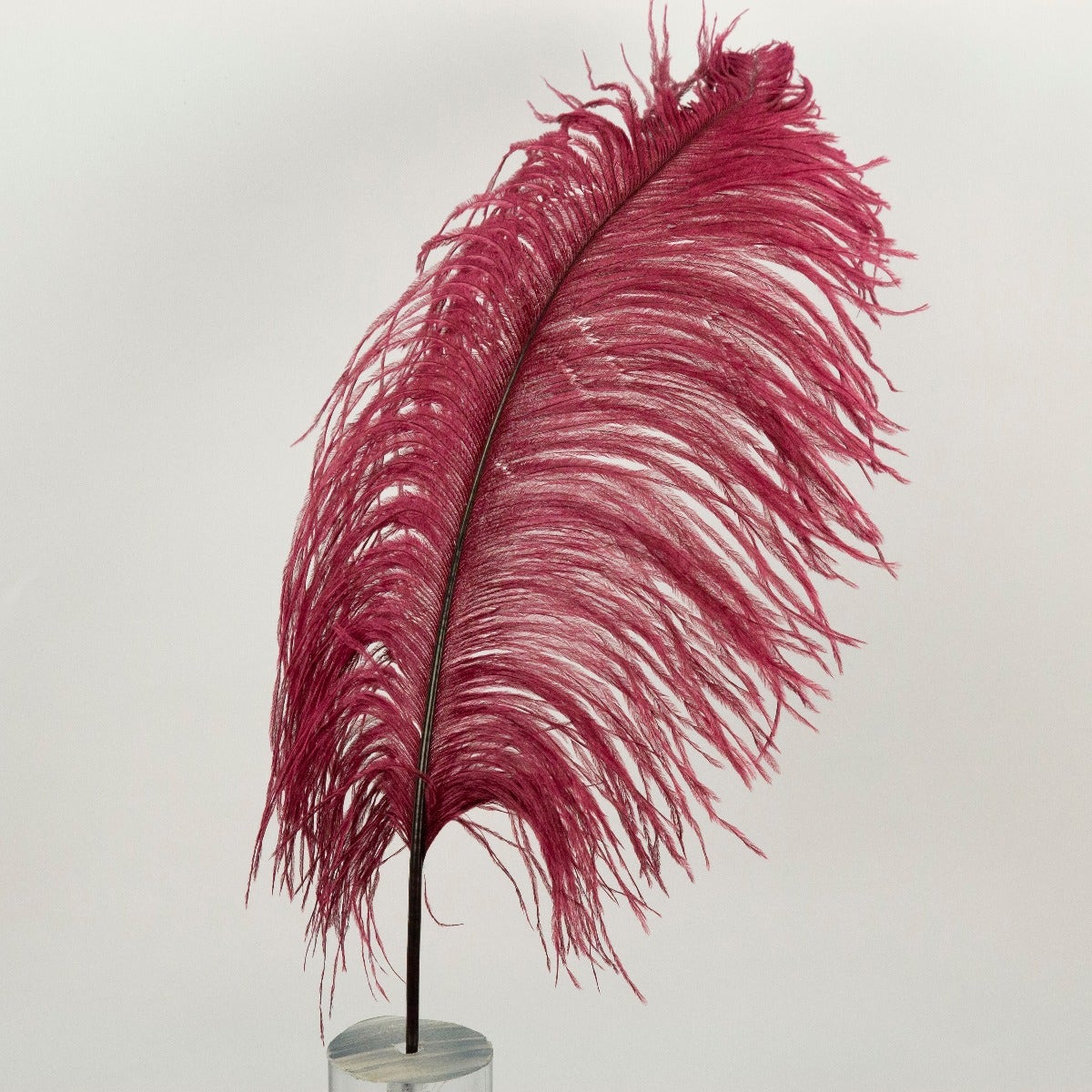 Ostrich Tails 16-18 inch - 30 PC - Burgundy - Feathers