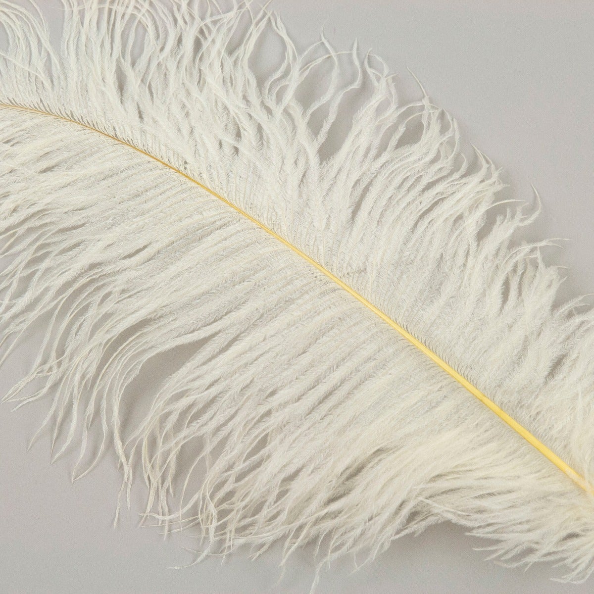 Ostrich Tails 16-18 inch - 30 PC - Ivory - Feathers