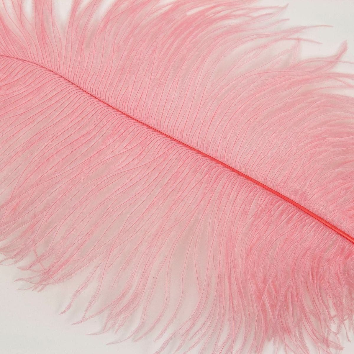 Ostrich Tails 16-18 inch - 30 PC - MET GALA POTPOURRI - Feathers