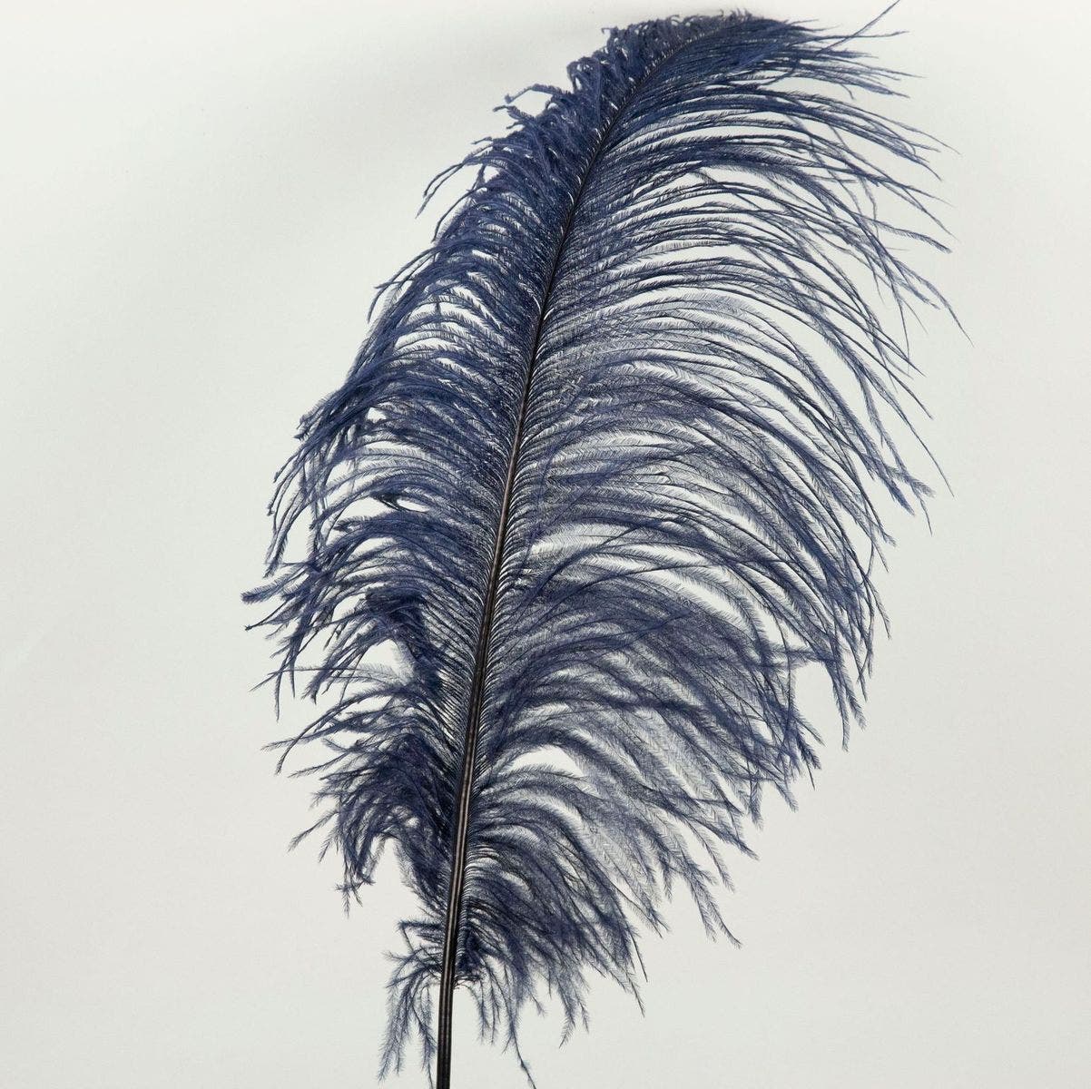 Ostrich Tails 16-18 inch - 30 PC - Navy - Feathers