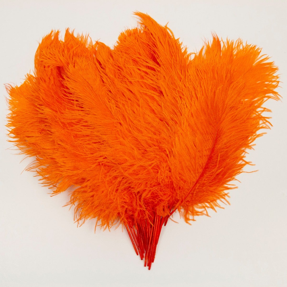 Ostrich Tails 16-18 inch - 30 PC - Orange - Feathers