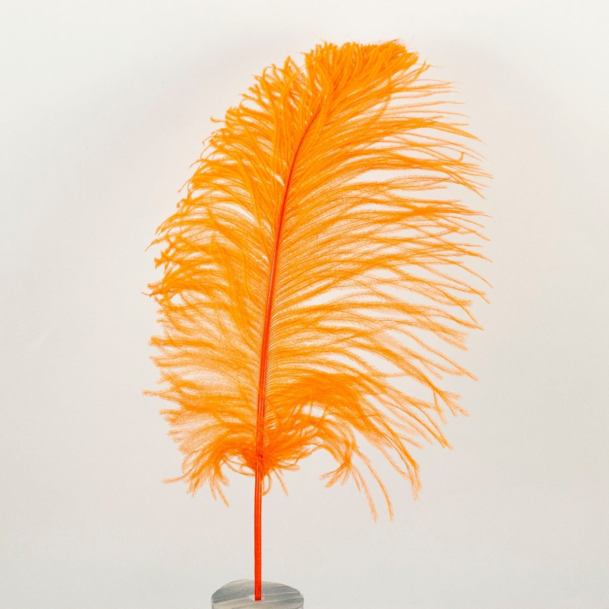 Ostrich Tails 16-18 inch - 30 PC - Orange - Feathers