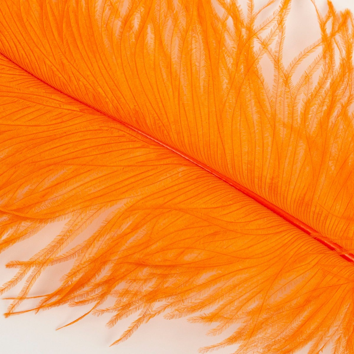 Ostrich Tails 16-18 inch - 30 PC - Orange - Feathers