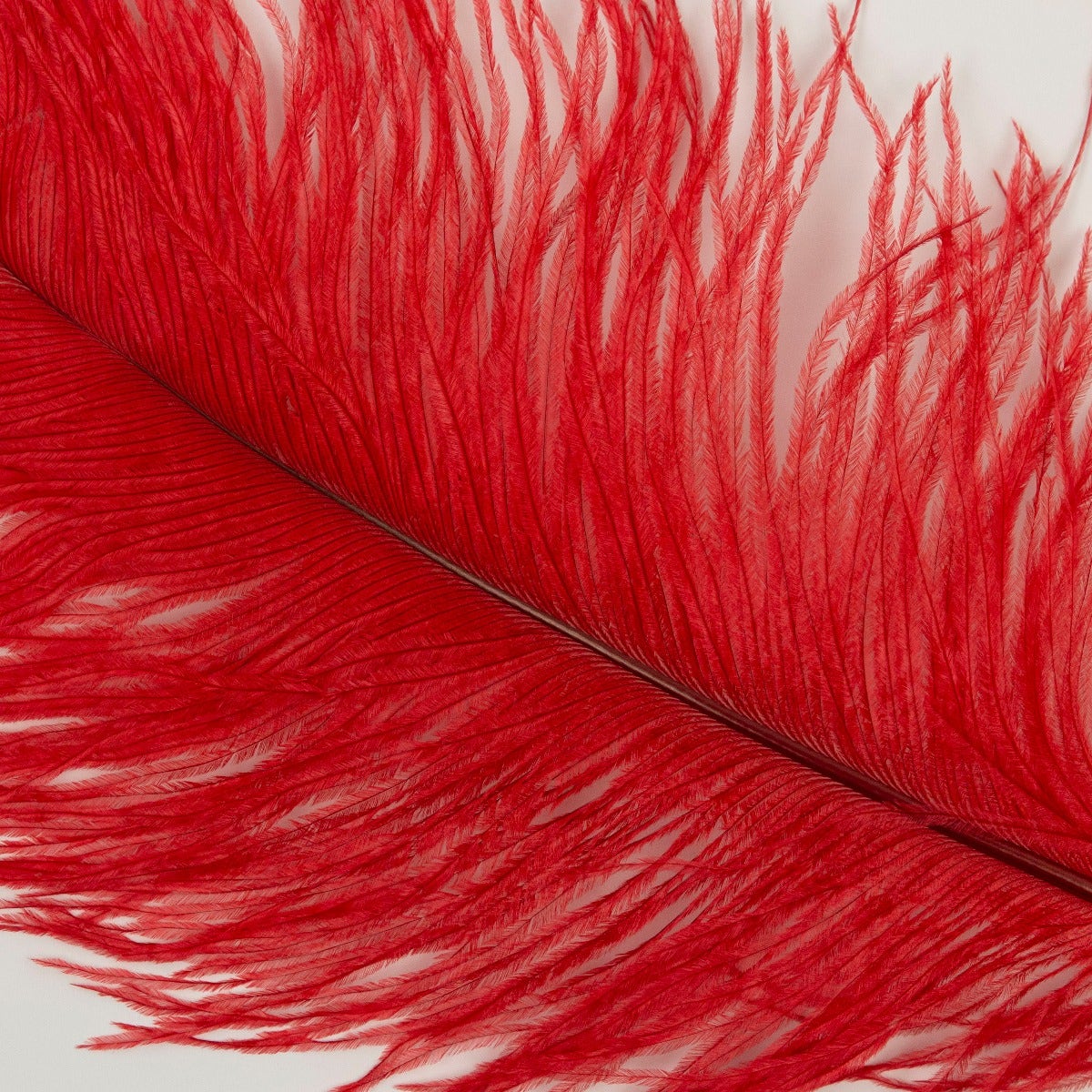 Ostrich Tails 16-18 inch - 30 PC - Red - Feathers