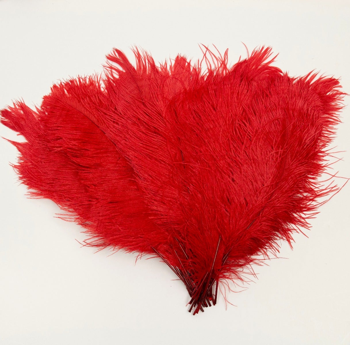 Ostrich Tails 16-18 inch - 30 PC - Red - Feathers