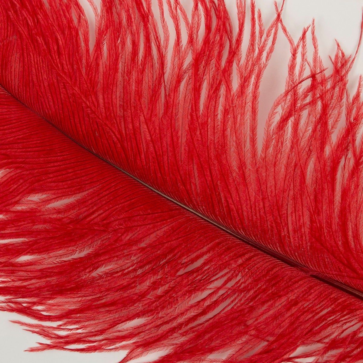 Ostrich Tails 16-18 inch - 30 PC - Red - Feathers