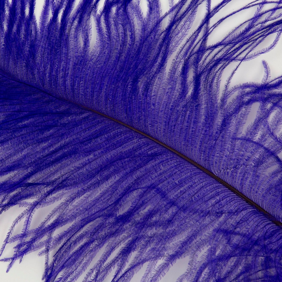 Ostrich Tails 16-18 inch - 30 PC - Regal - Feathers